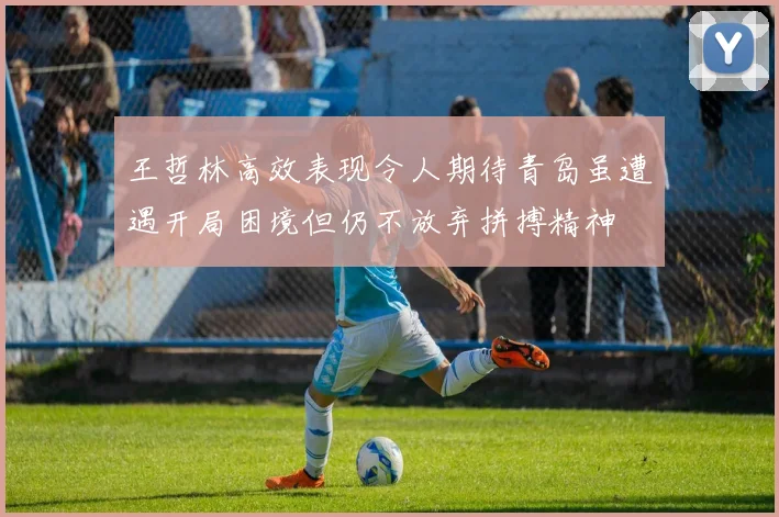 王哲林高效表现令人期待青岛虽遭遇开局困境但仍不放弃拼搏精神